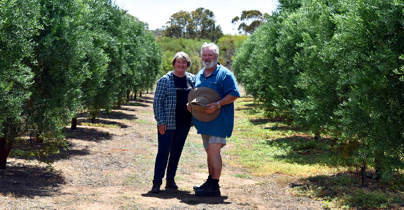 Vicki and Mark on the farm vickiandmark-2.jpg